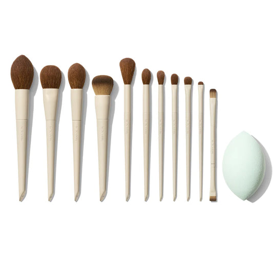 Pre Venta: Morphe | Signature Look 12-Piece
