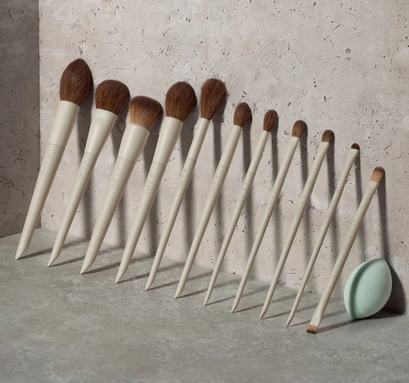 Pre Venta: Morphe | Signature Look 12-Piece