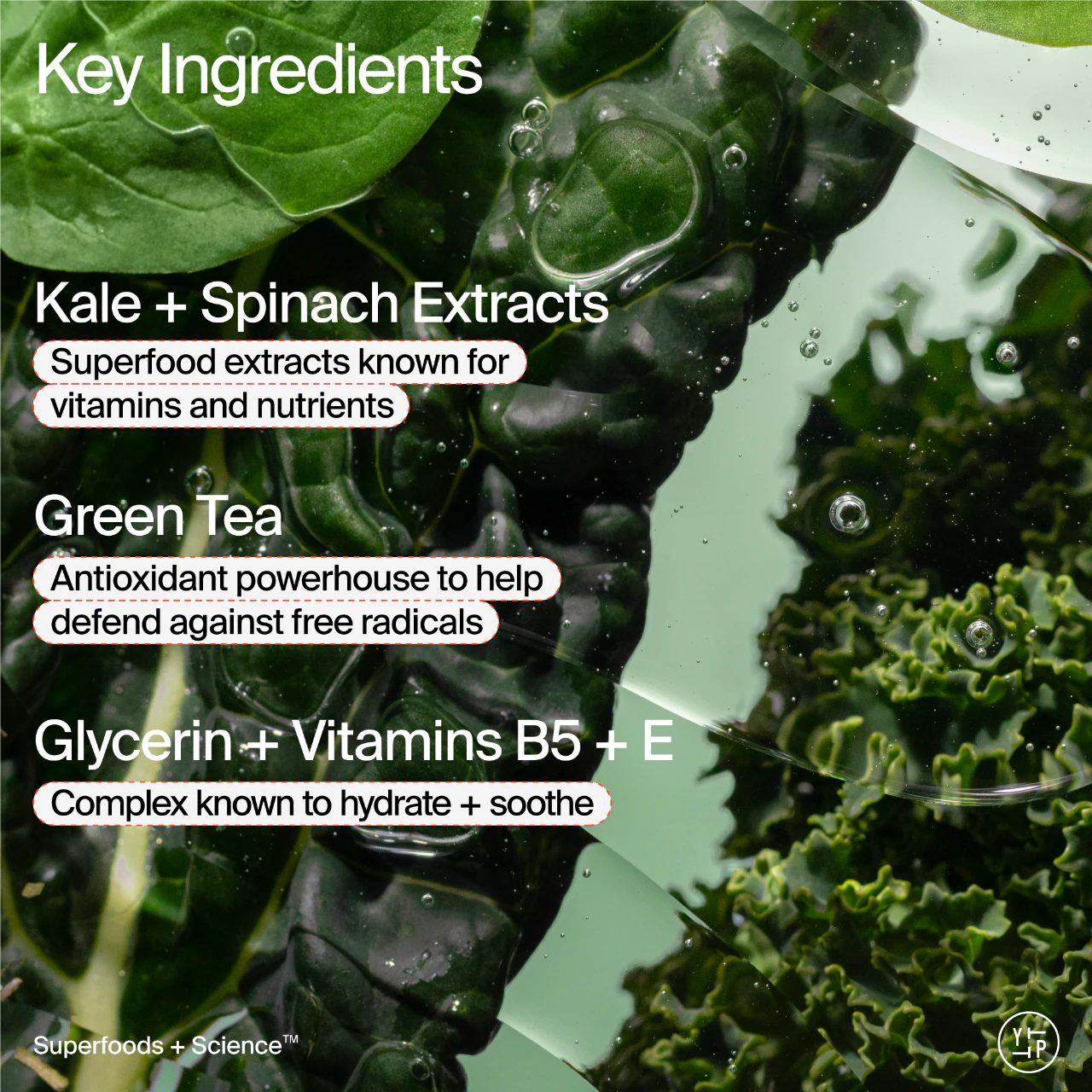 Pre Venta: Youth To The People | Superfood Gentle Antioxidant Refillable Cleanser