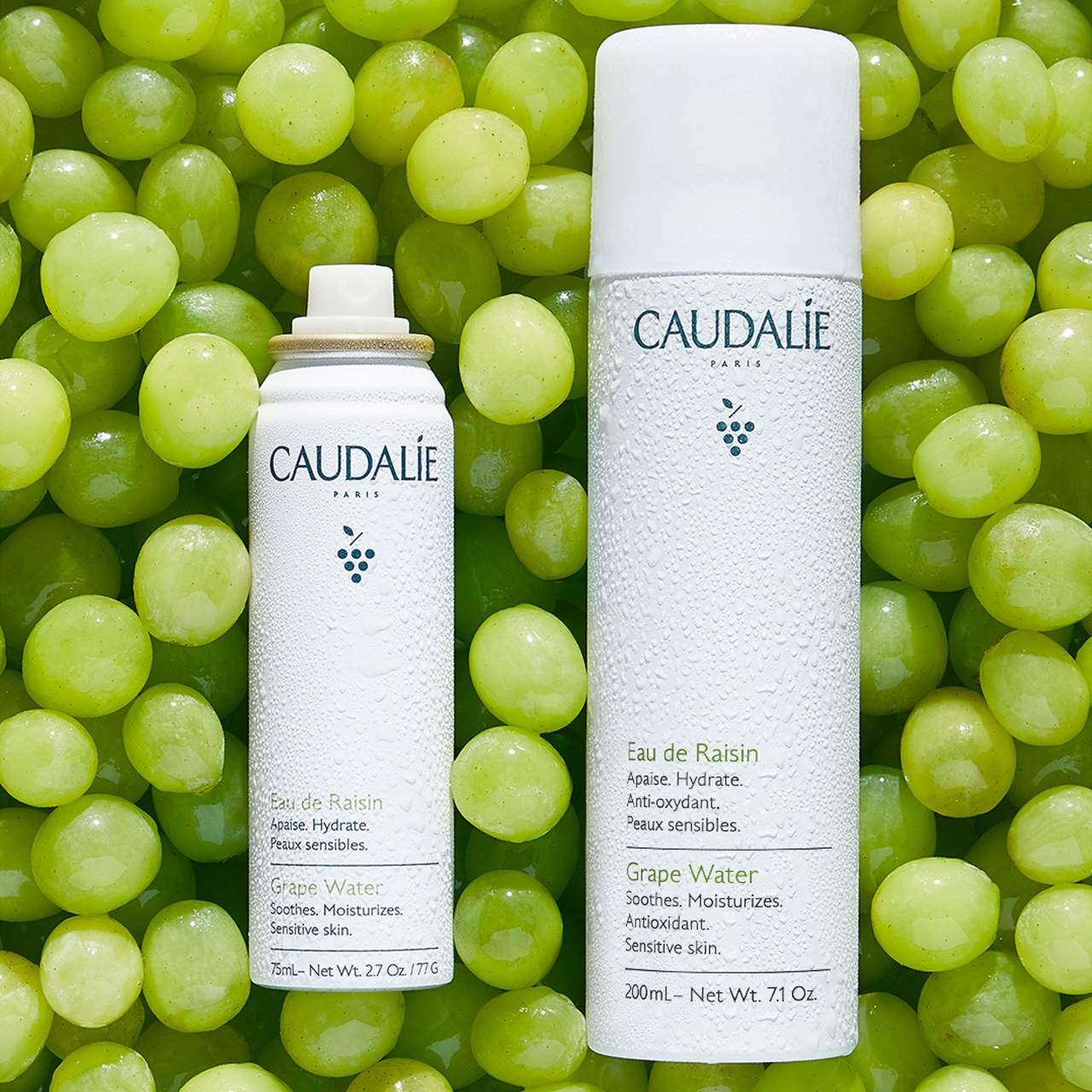 Pre Venta: Caudalie | Grape Water Moisturizing Face Mist