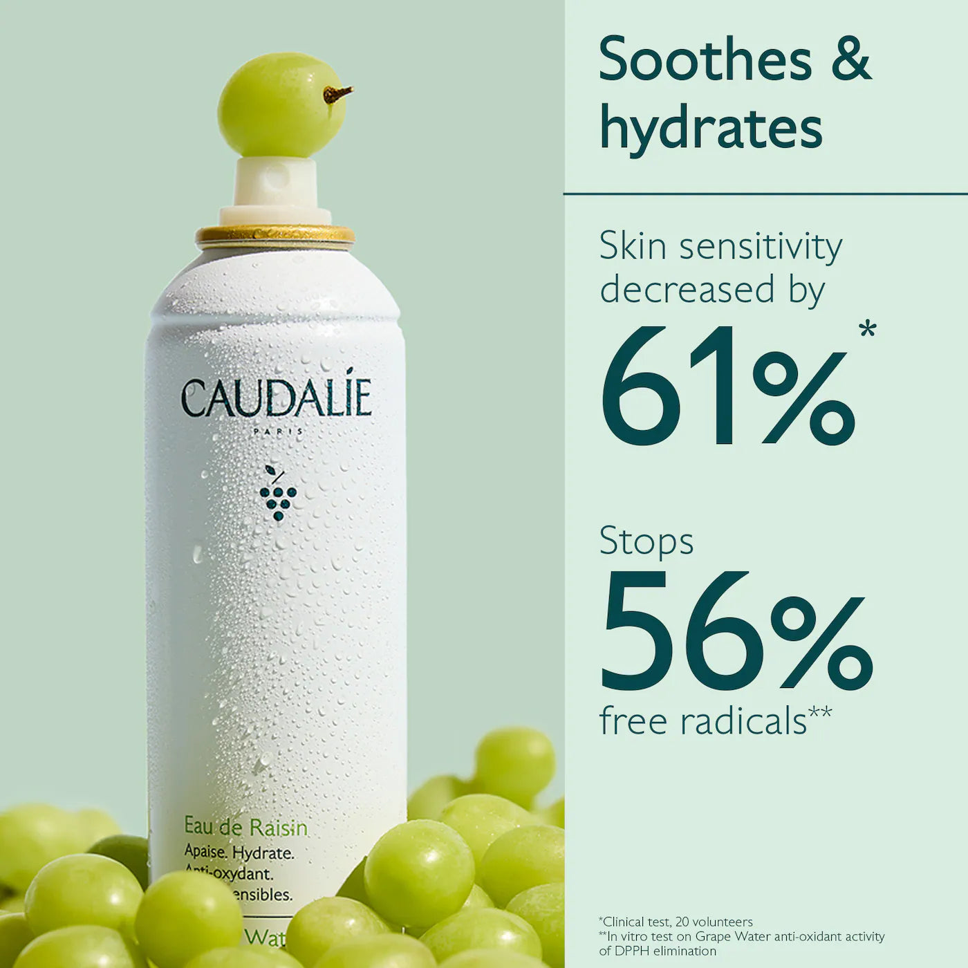 Pre Venta: Caudalie | Grape Water Moisturizing Face Mist