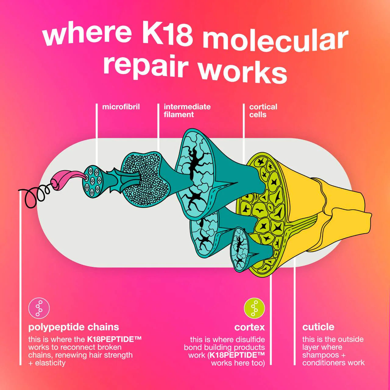 Pre Venta: K18 Biomimetic Hairscience | Ultimate Reset + Repair Hair Mask and Shampoo Value Set