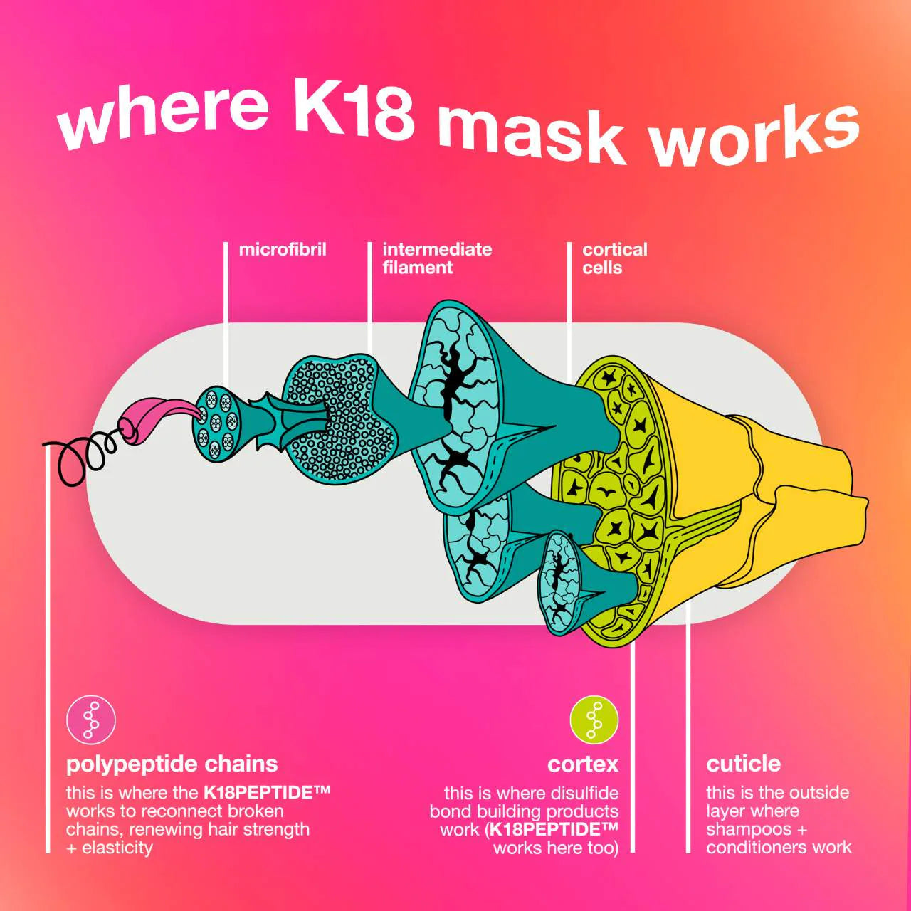 Pre Venta: K18 Biomimetic Hairscience | Repair + Protect Minis Kit