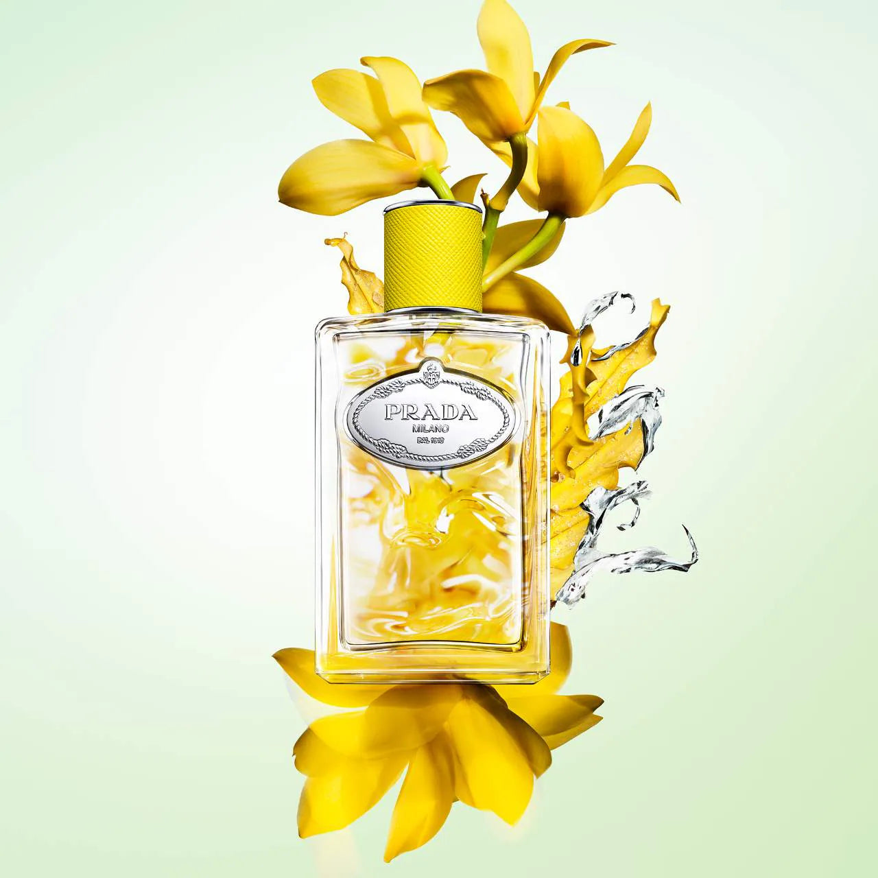 Pre Venta: Prada | Les Infusions Discovery Set