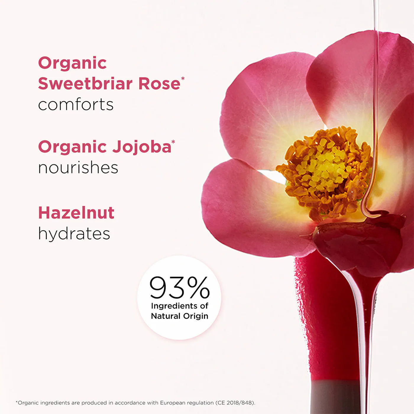 Pre Venta: Clarins | Lip Comfort Hydrating Oil Set