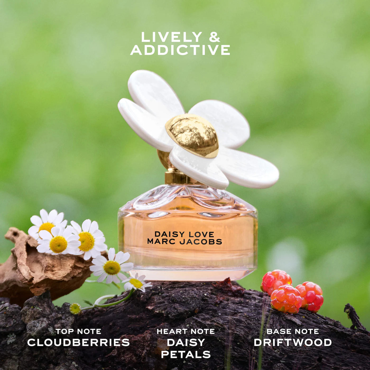 Pre Venta: Marc Jacobs Fragances | Mini Daisy Collection Perfume Sampler Set