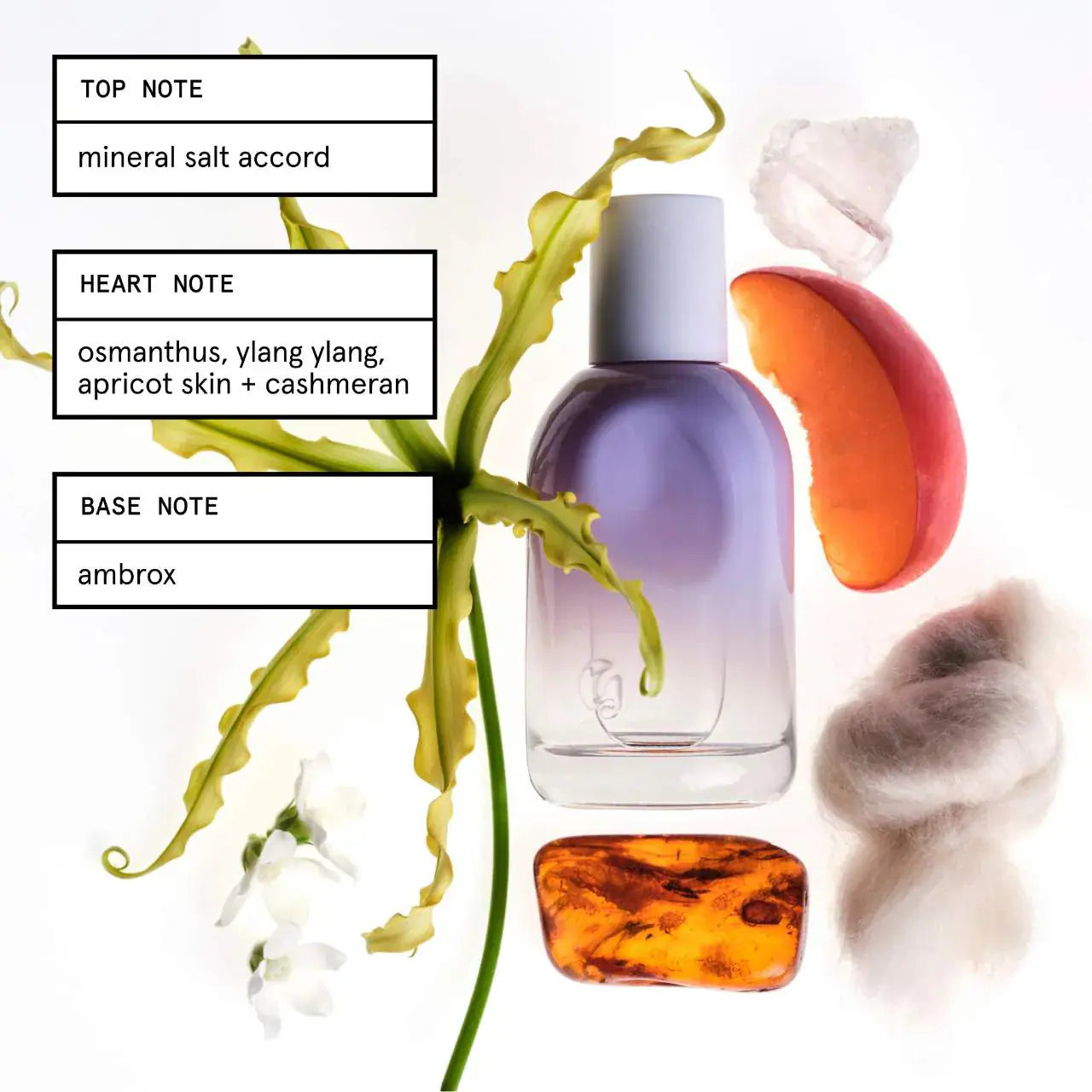 Pre Venta: Sephora Favorites | Next Big Thing Perfume Sampler Set w/ Redeemable Voucher