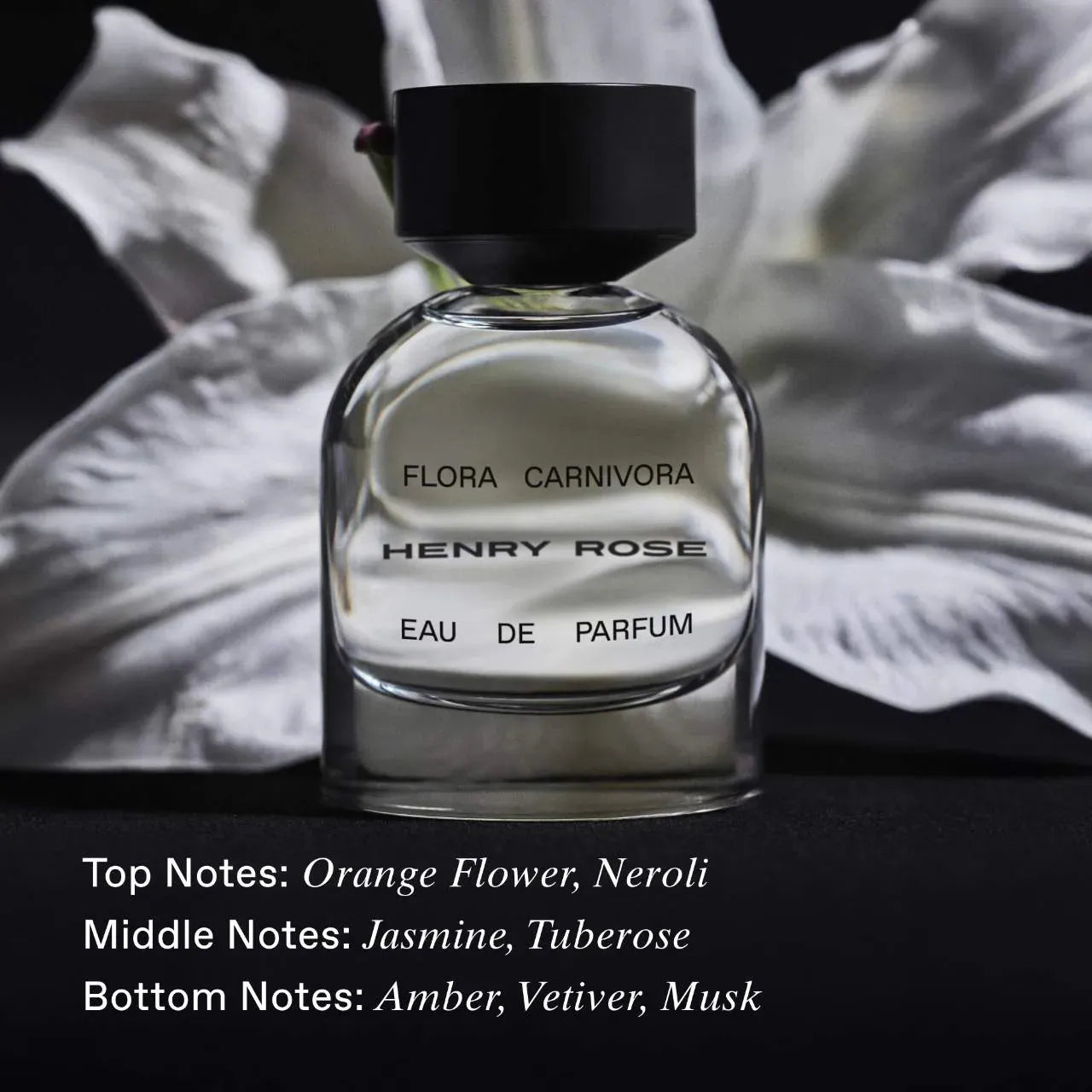 Pre Venta: Sephora Favorites | Next Big Thing Perfume Sampler Set w/ Redeemable Voucher