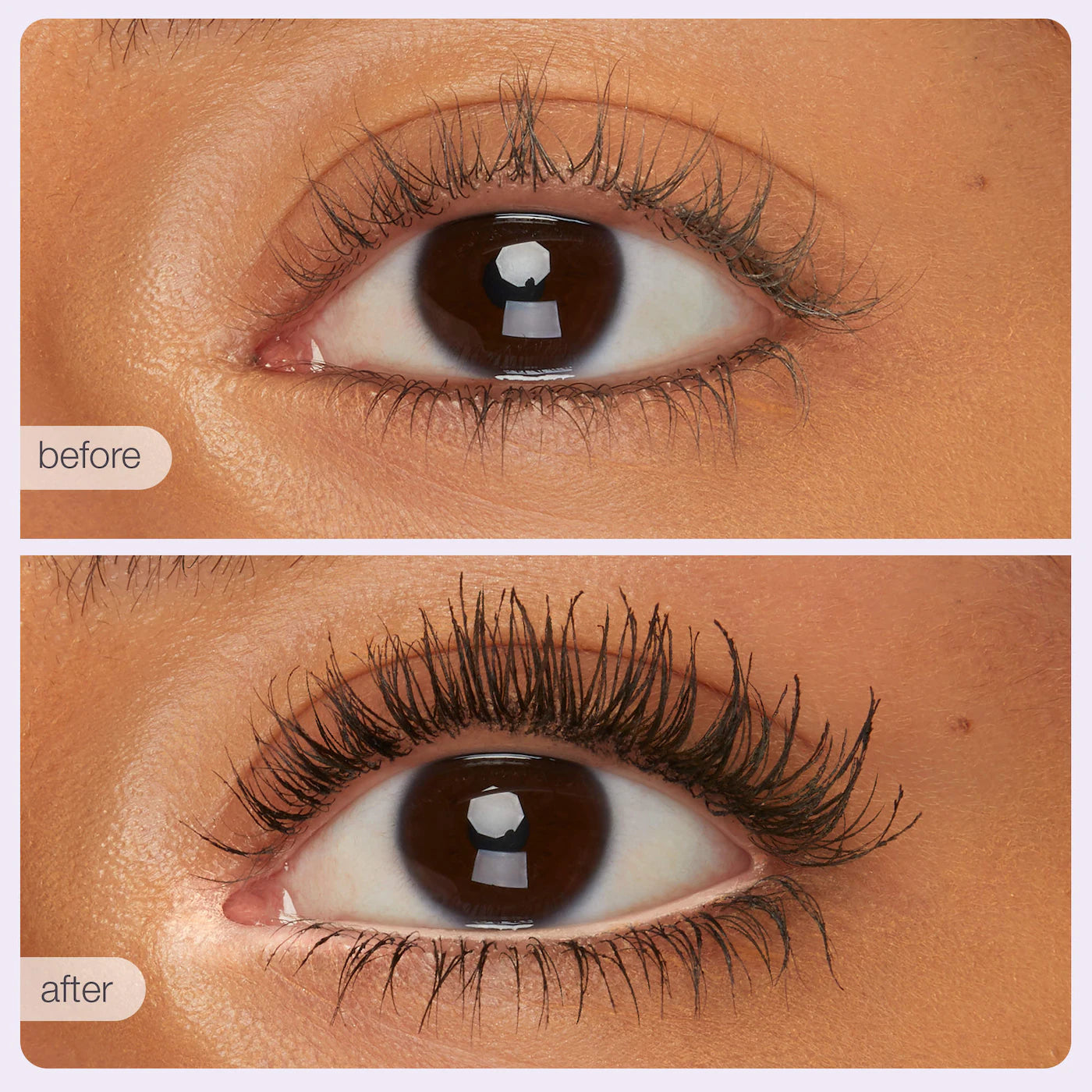 Pre Venta: Tarte | tartelette tubing must-haves vault