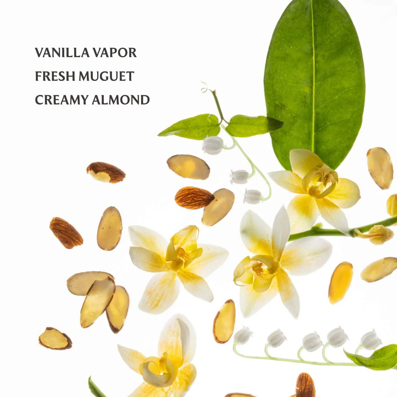Pre Venta: Touchland | Vanilla Velvet Power Essence Body & Hair Fragrance Mist