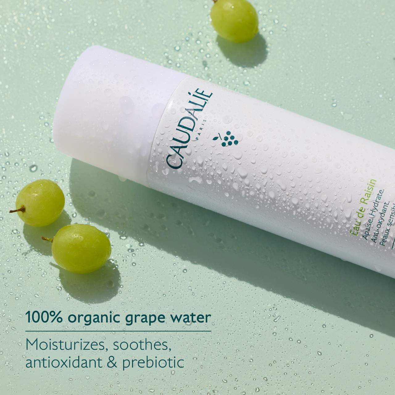 Pre Venta: Caudalie | Grape Water Moisturizing Face Mist