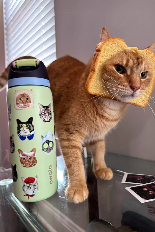 Owala UO Exclusive FreeSip 32 oz Water Bottle | Cat Collage