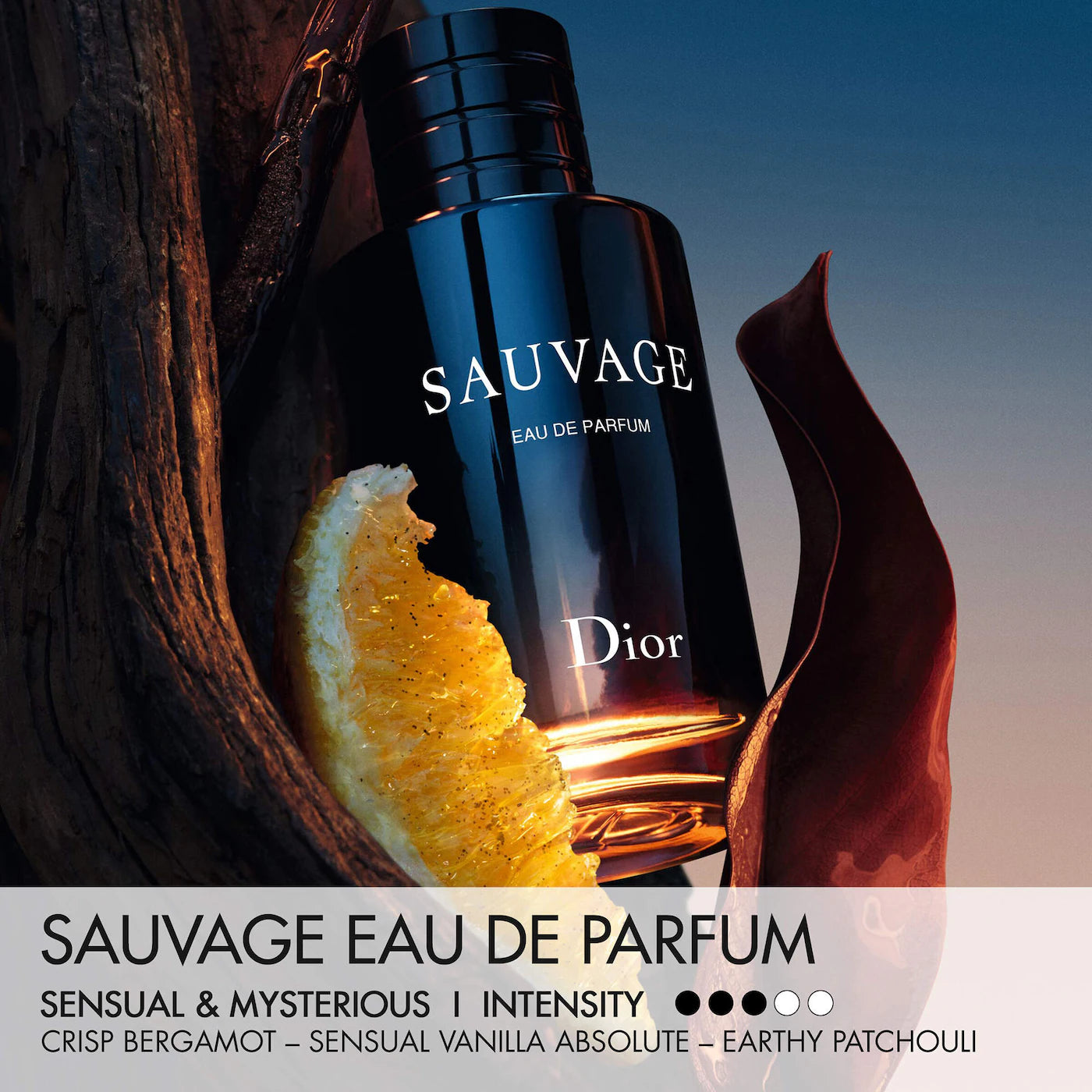 Pre Venta: Dior | Sauvage Eau de Parfum Gift Set